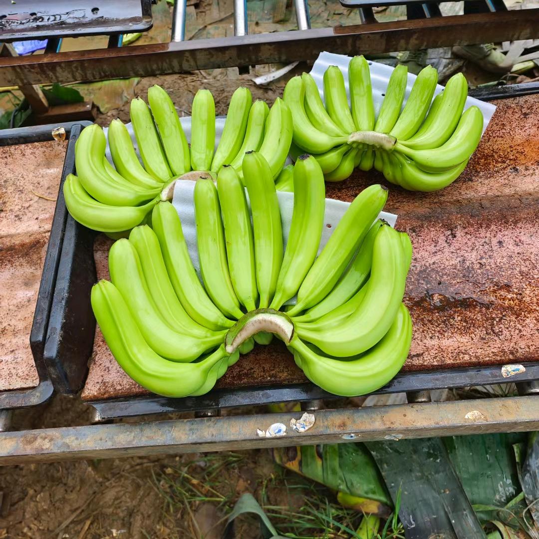 黑皮甘蔗、火龙果产地直发