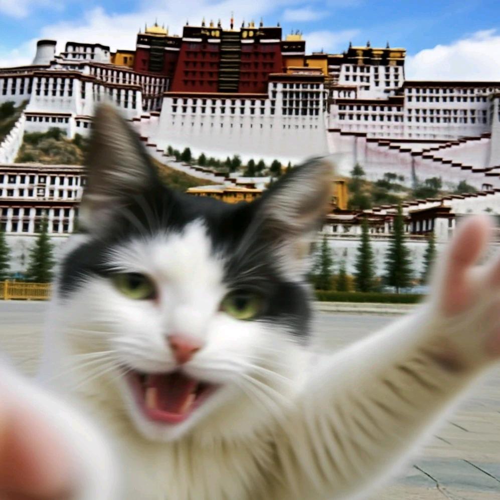 龍波