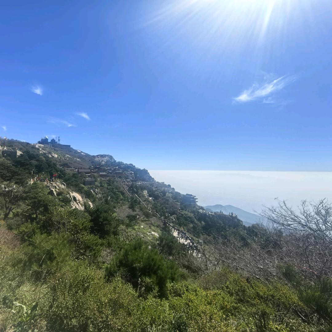 海洋🚴🏻‍♂️