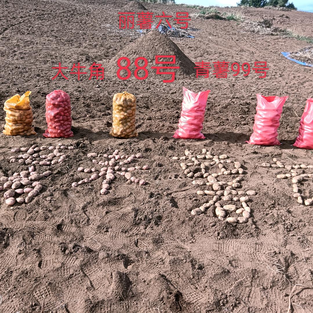 ML函码
