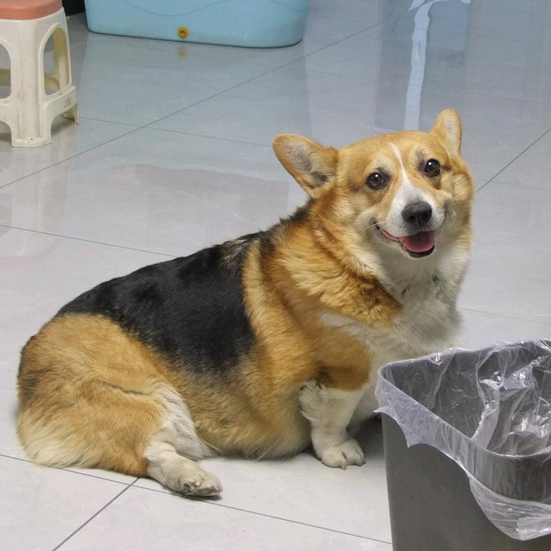 张图图家手工零食