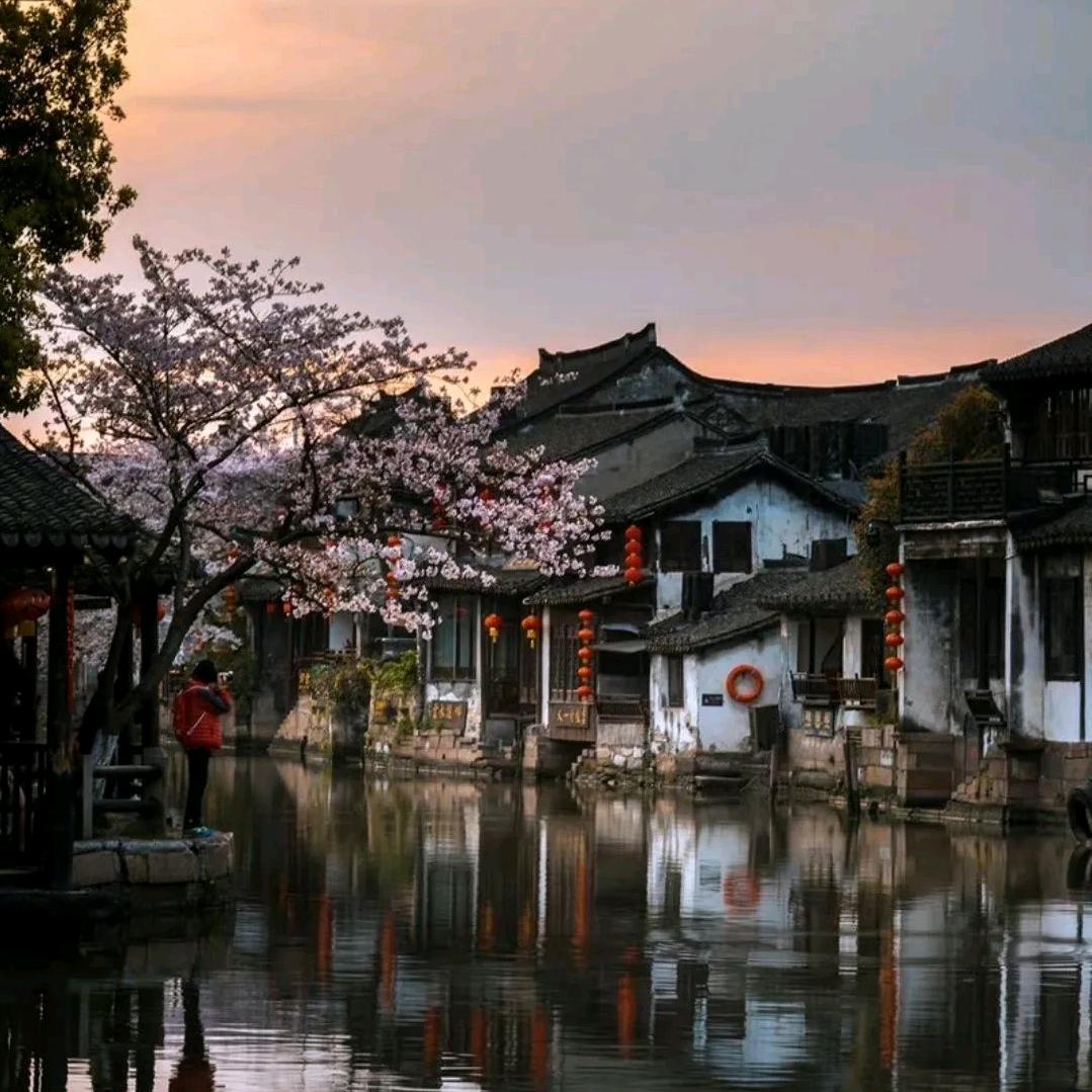 红参～秦老师