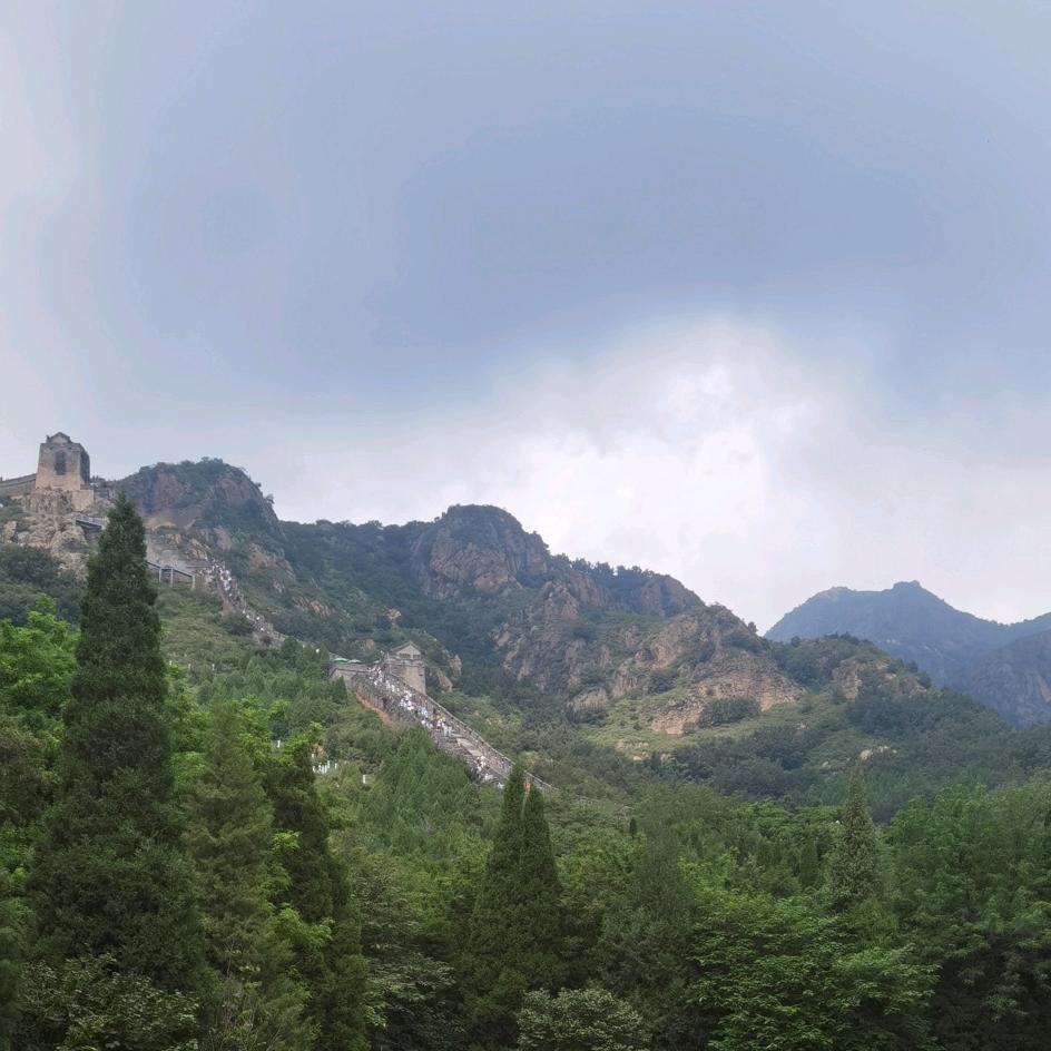 大有自牧专营店