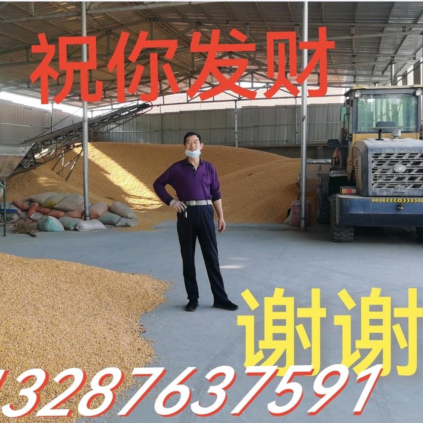 🇨🇳东方红🔥