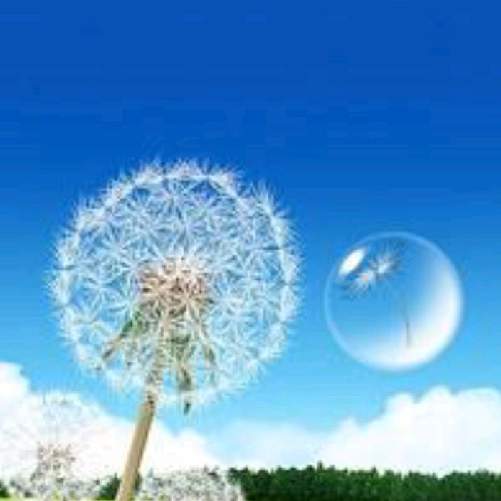 紫妍