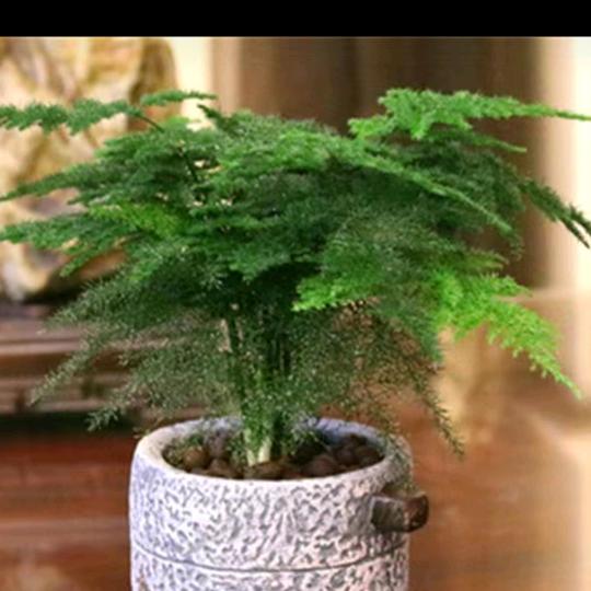 正在输入中…………用户838111