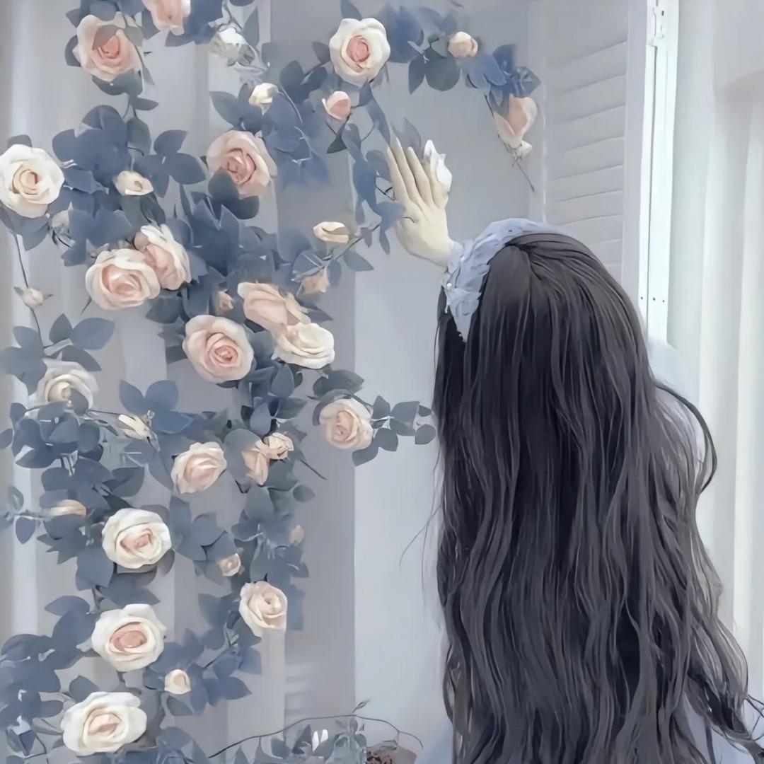 菲菲