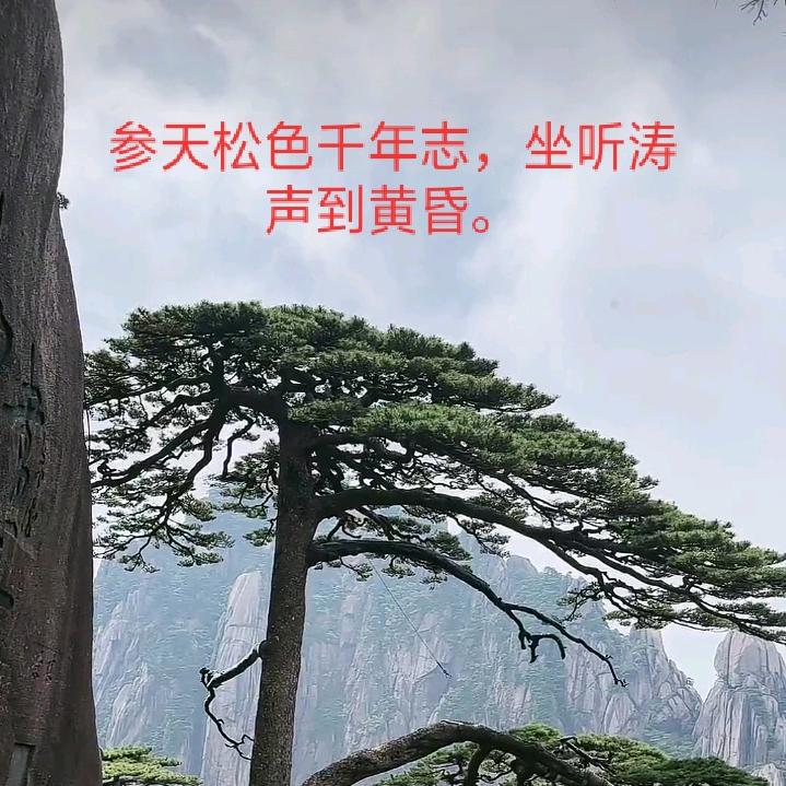 风中诺言
