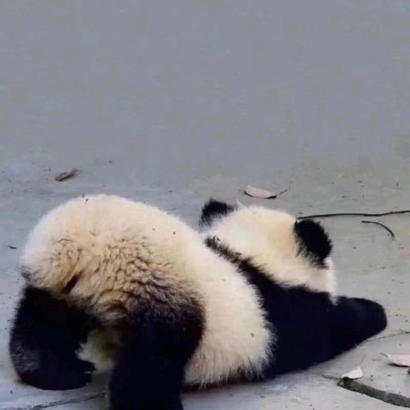 花海-～