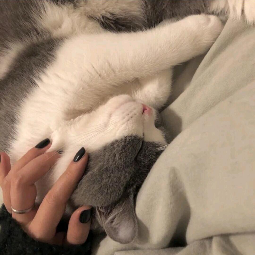 劳资素个好男人