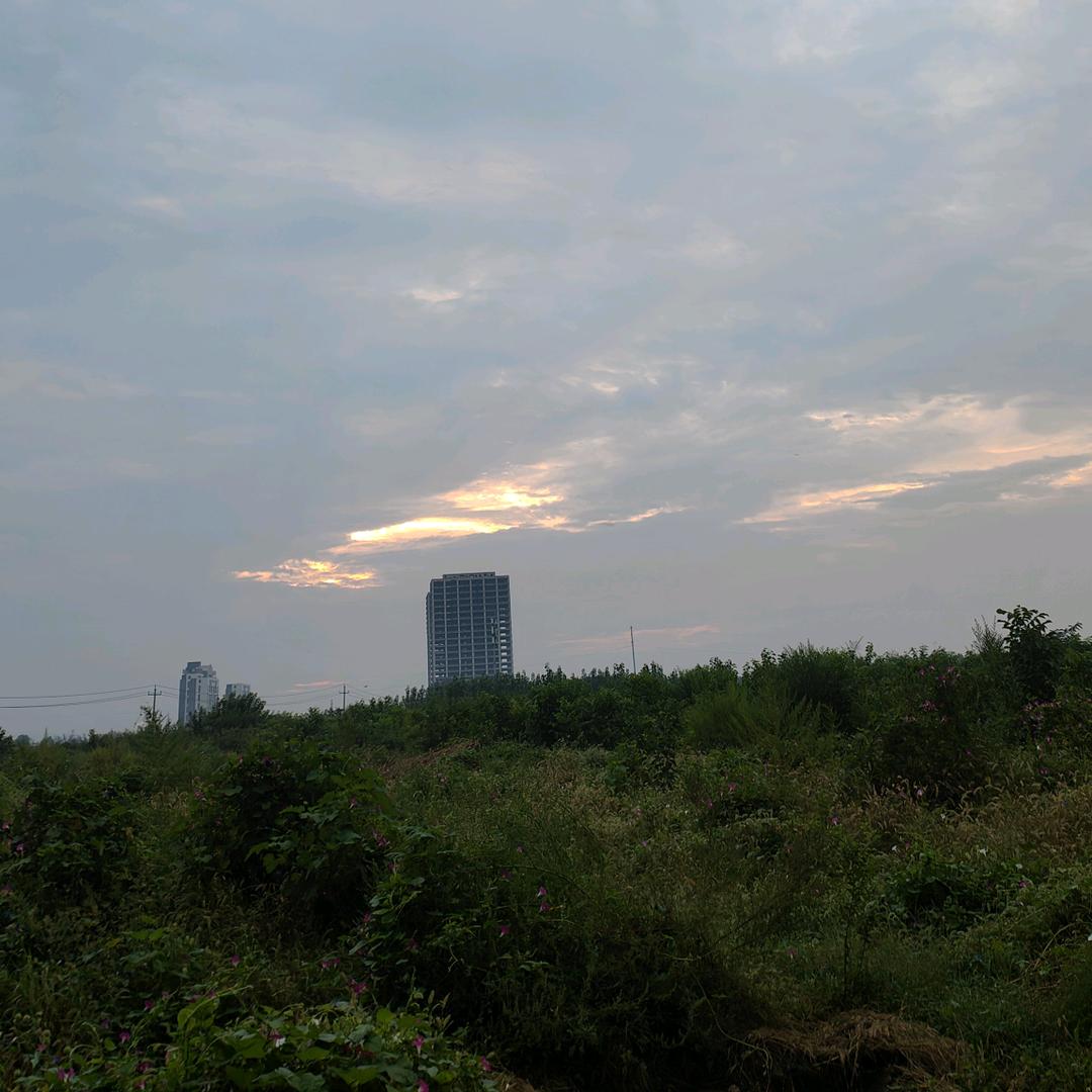 陈皮特烦恼