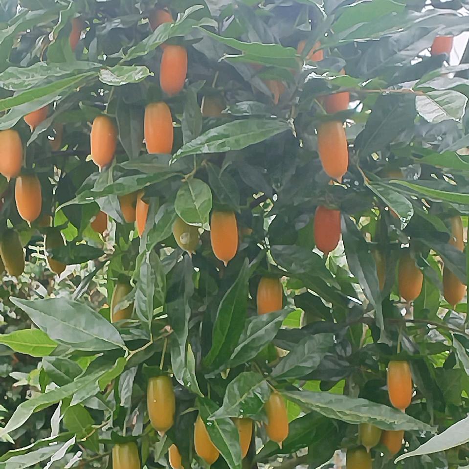 人生路上，永远忘不掉