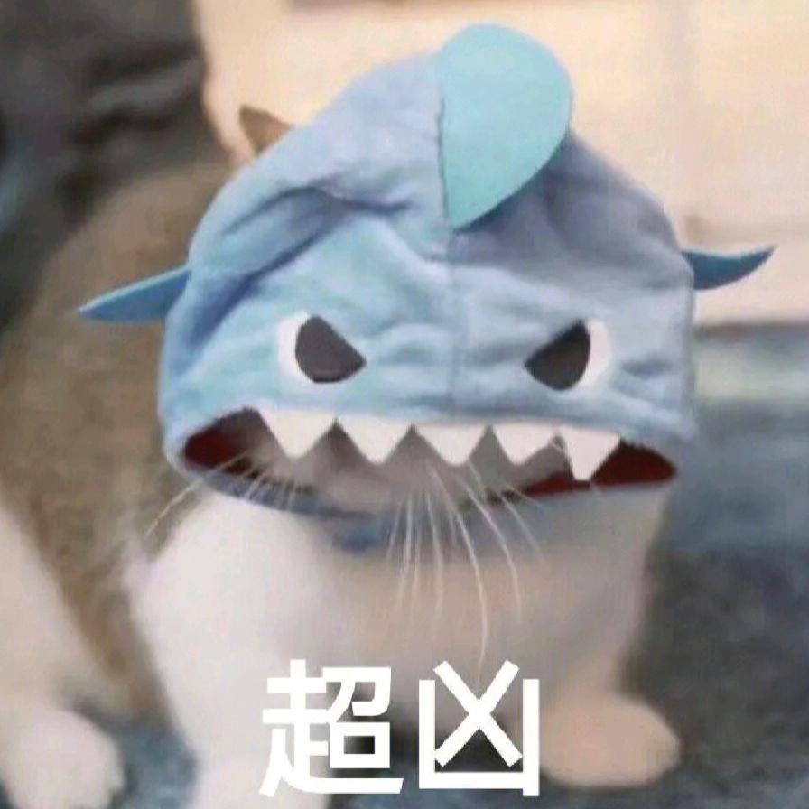 坤猫