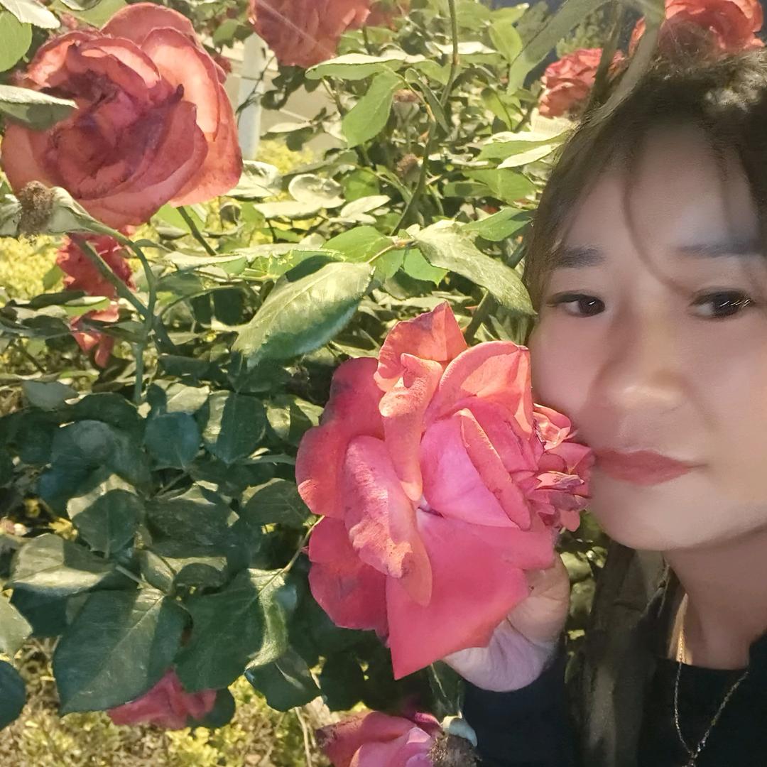 安娜