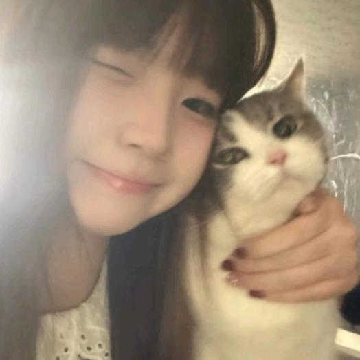 Abin