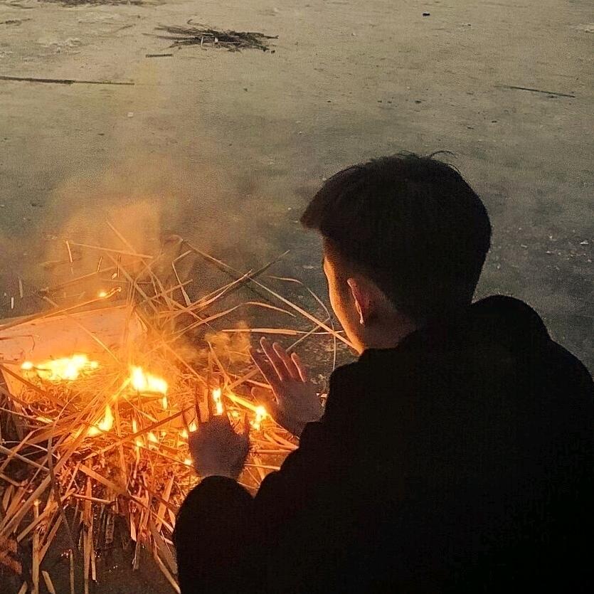 荷花🪷