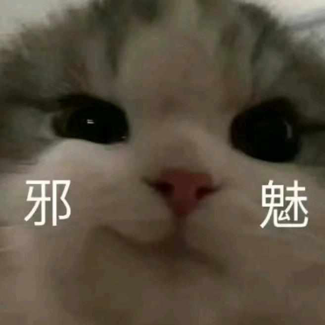 ¤