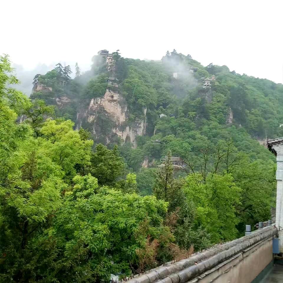 随愿