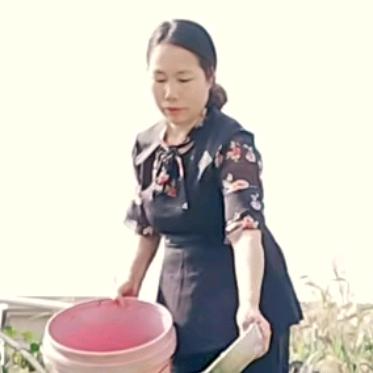 美食