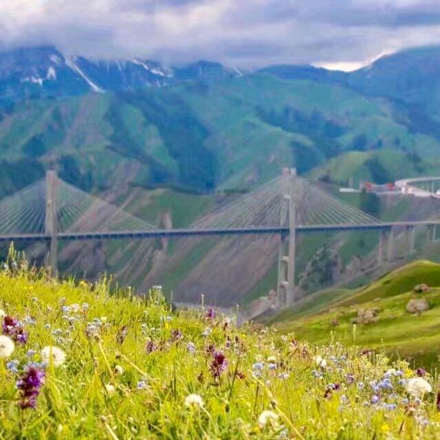 温一壶月光.下酒