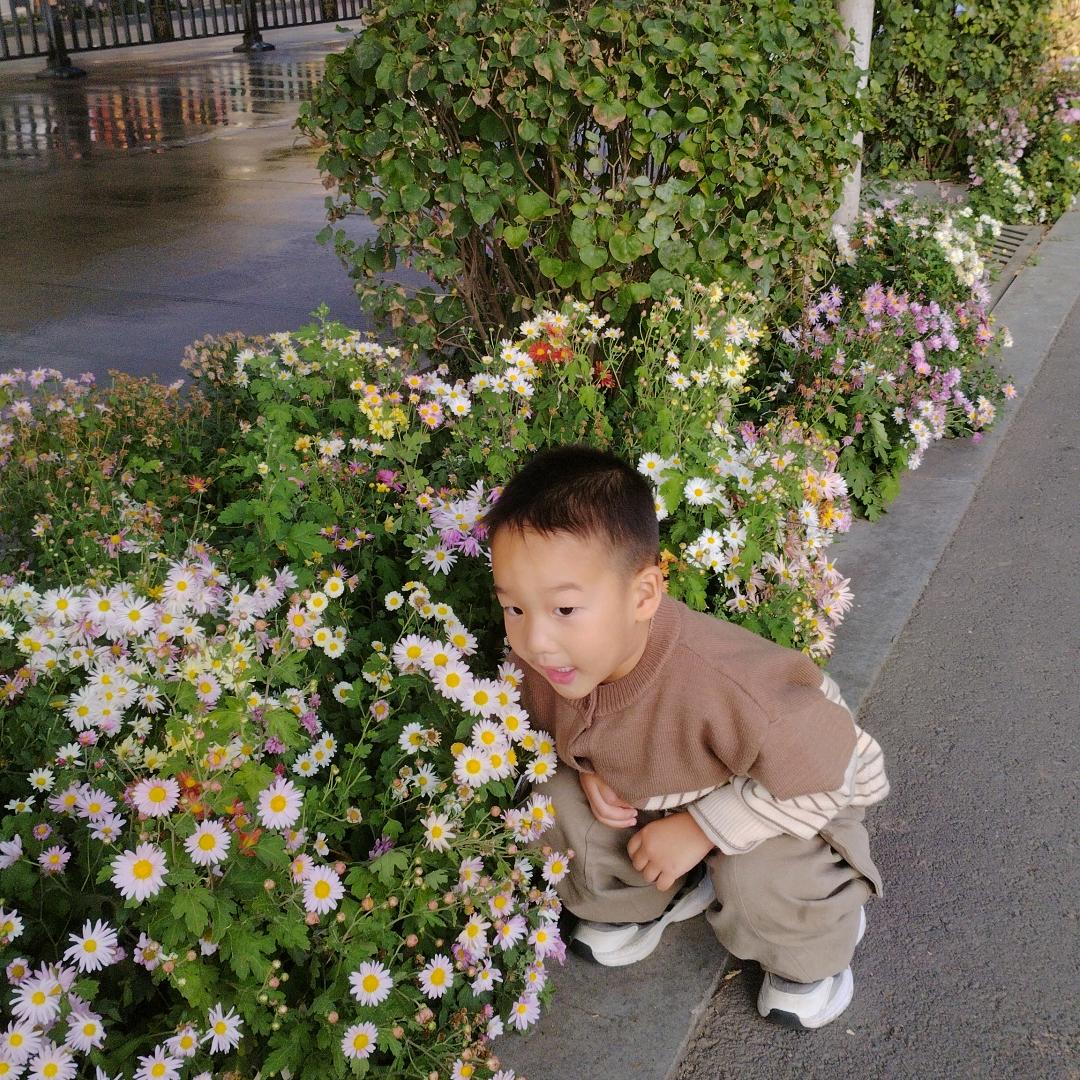 莎莎