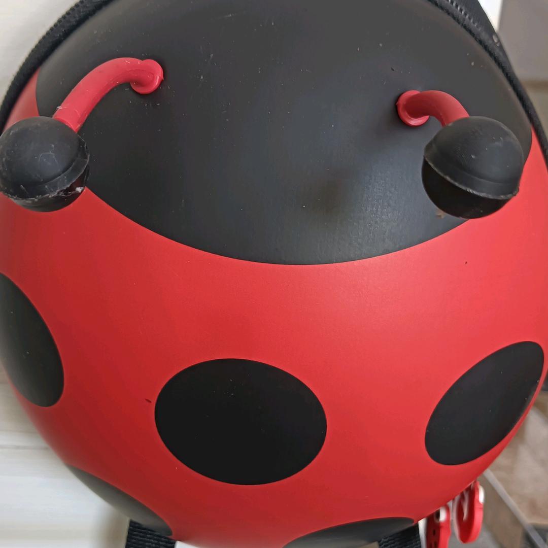 赖姐爱你一辈子