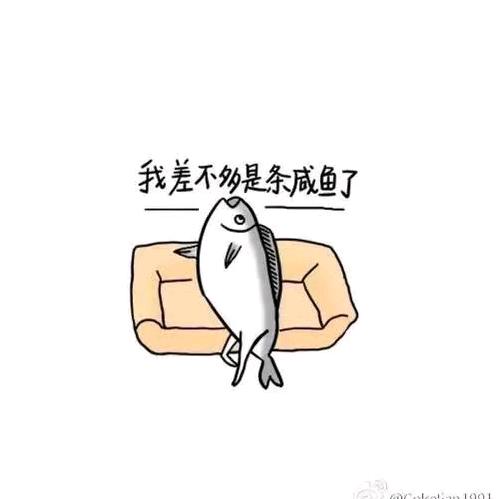 大头鱼追剧