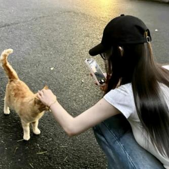 秋雾离
