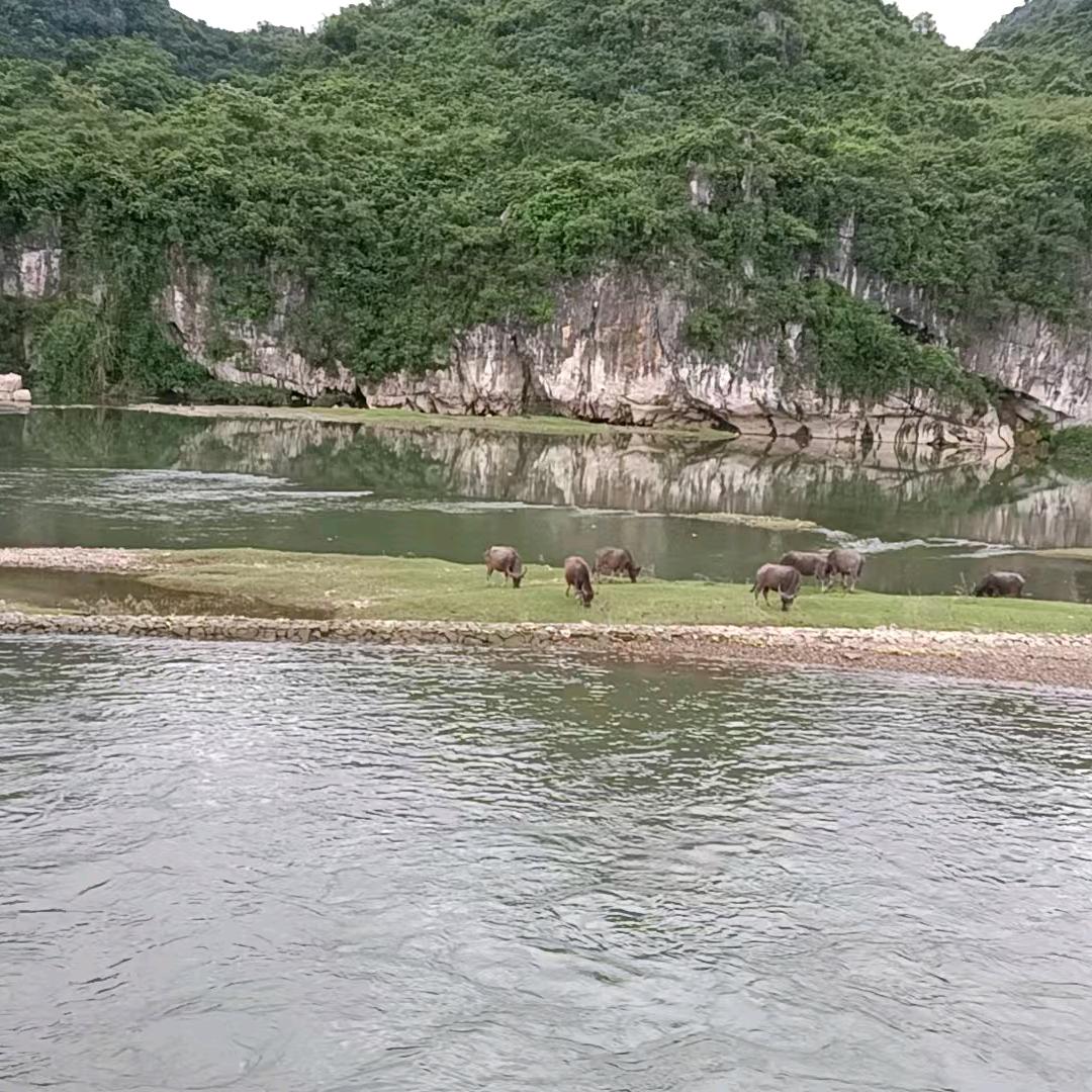 我没有保护好自己