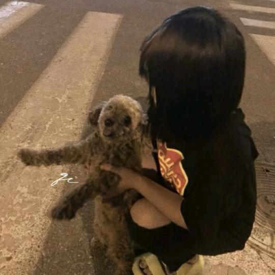 呆萌慧.