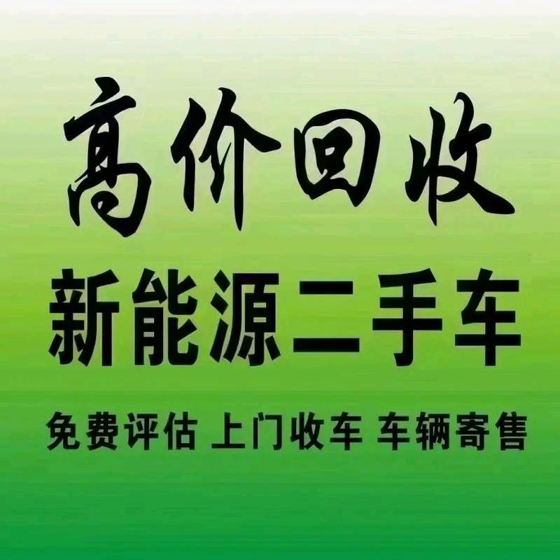 滕州二手新能源汽车-黄鹏