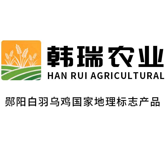韩瑞农业白羽乌鸡散养基地