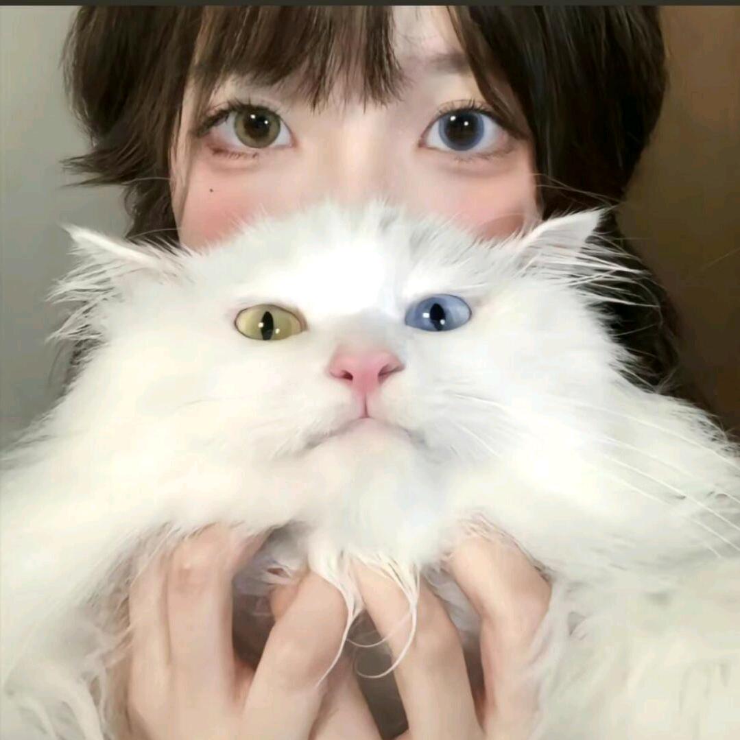 陌陌