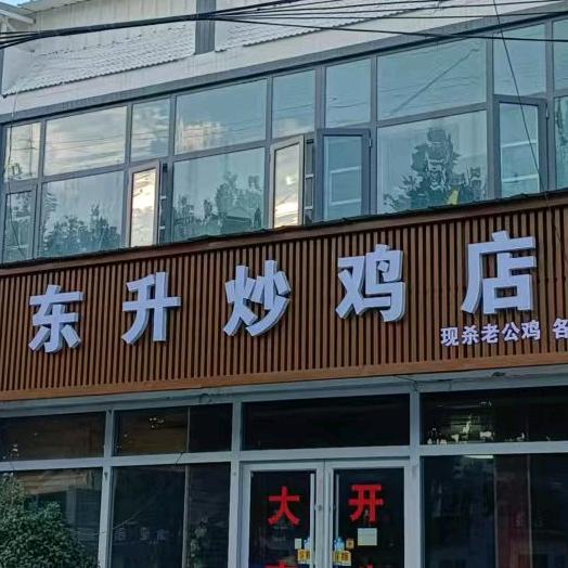 资邱东升
