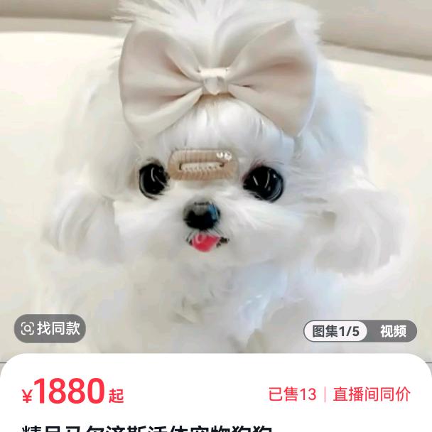 敬想开心