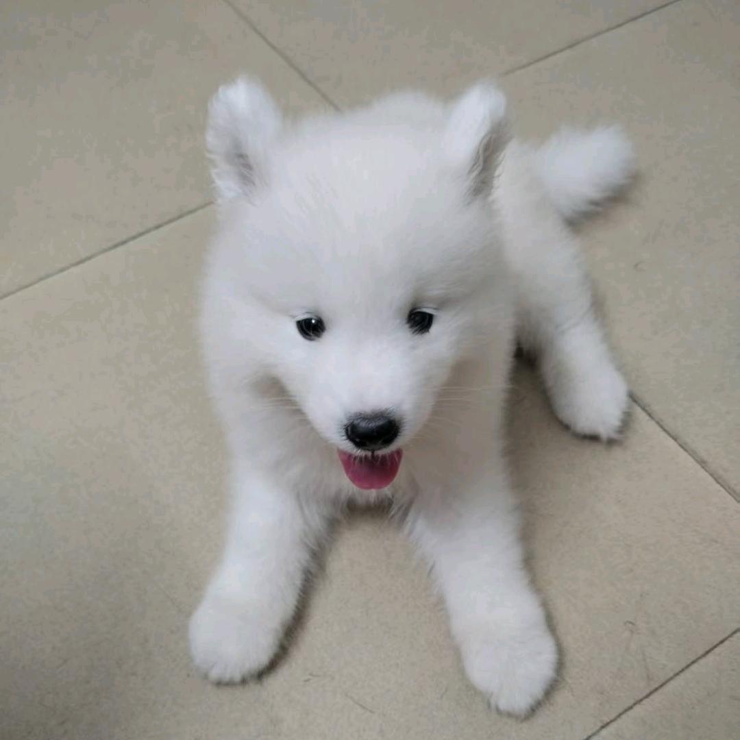 人到绝境是重生