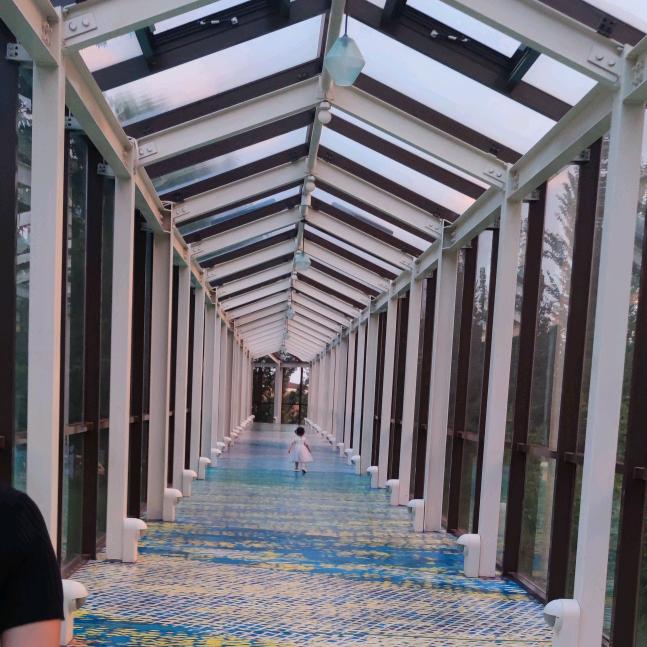 元宝YuanBao🏃‍♂️