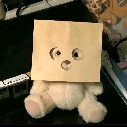 泡泡肥猫～