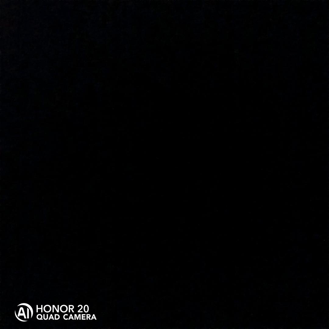 坐山观狗斗