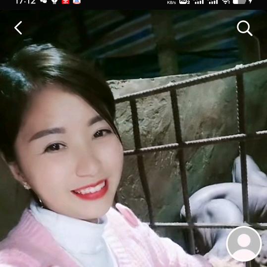 荣昌廖姐仔猪种猪批发