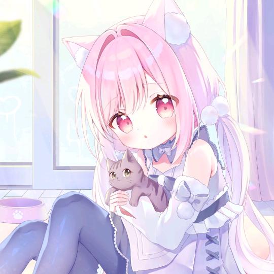 。。。。