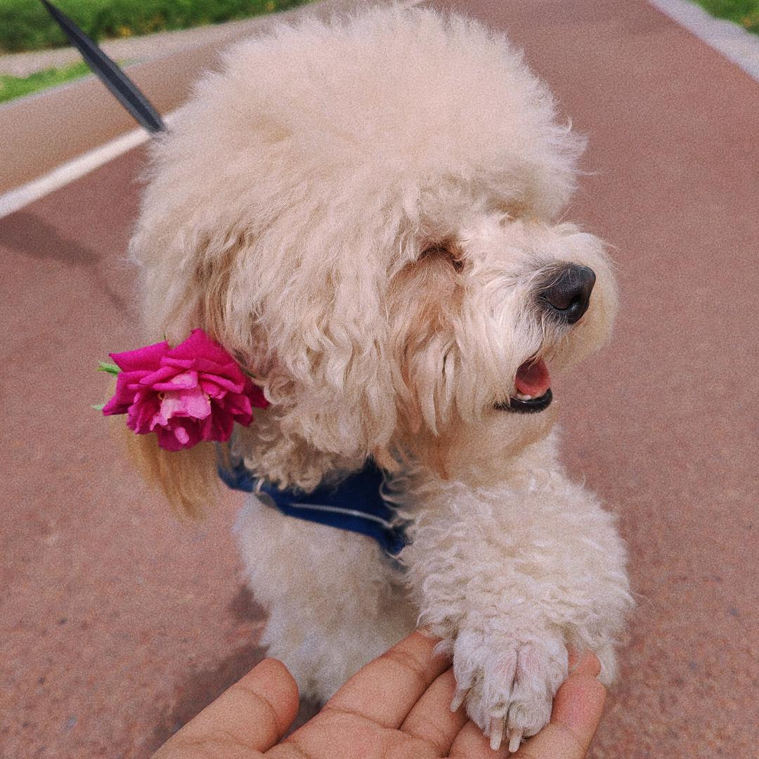 🥤阔乐有点田🍬