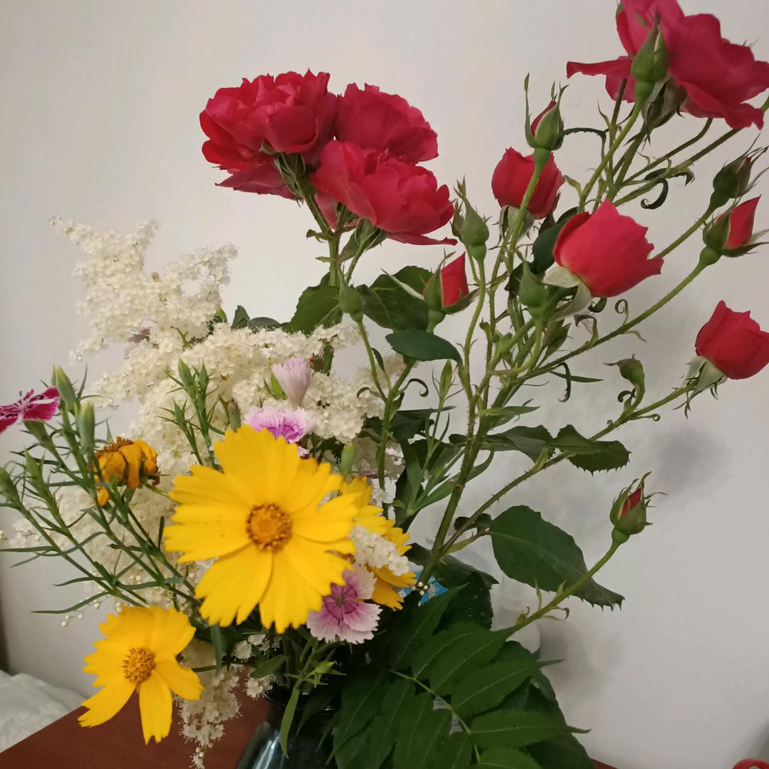 快👫乐💁天🙅使