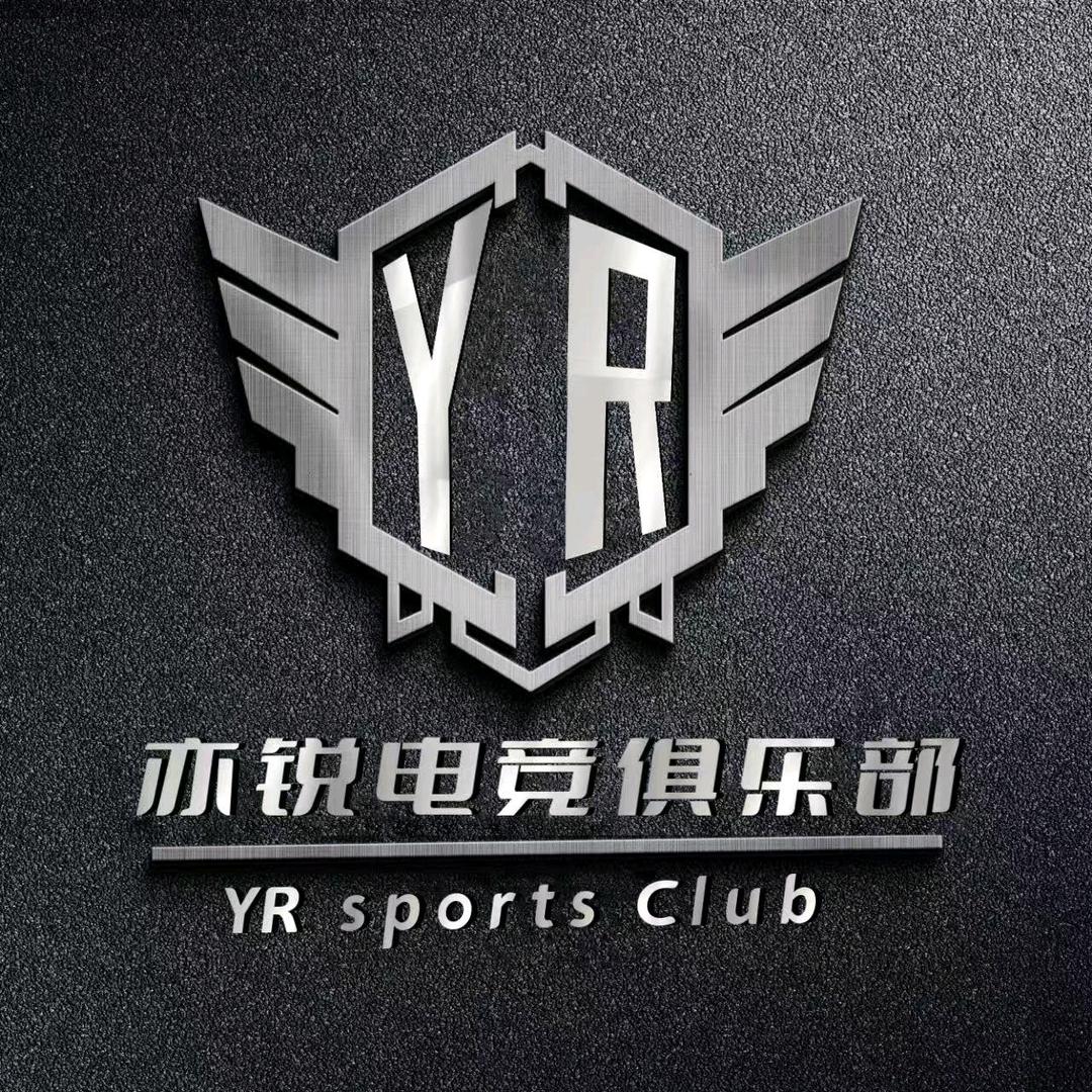 亦锐电竞（无畏契约）