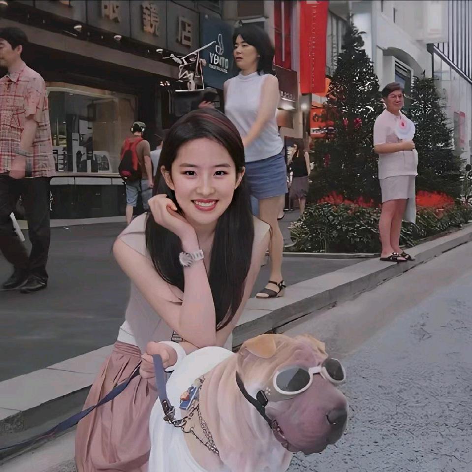 巧克力味的曲奇饼🍪