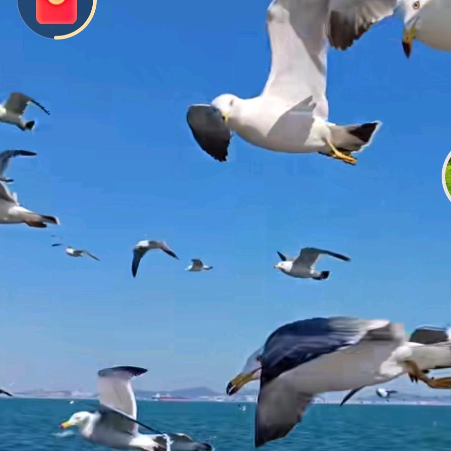 阳光