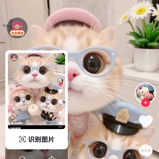 雨与何CF黄01