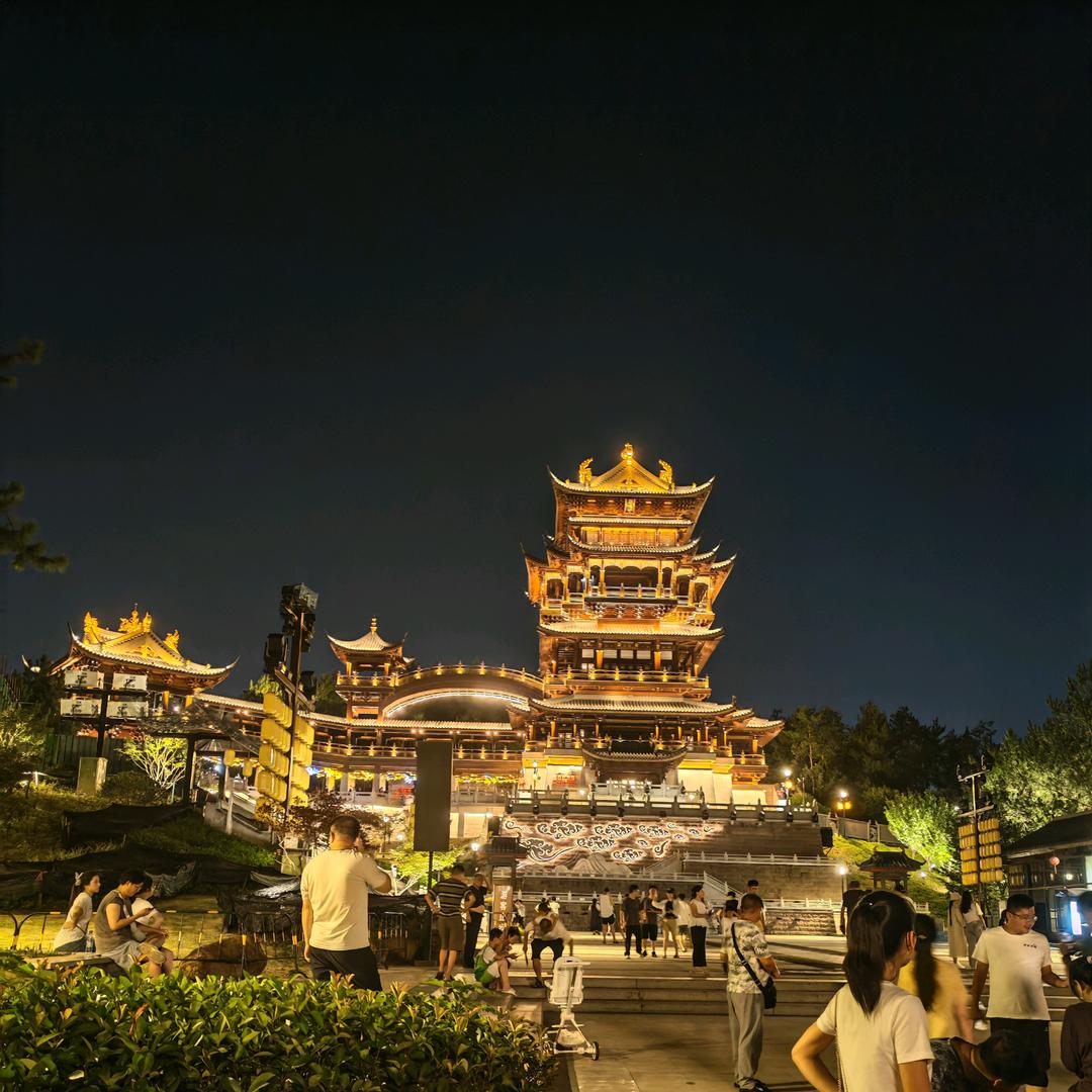会飞的鱼
