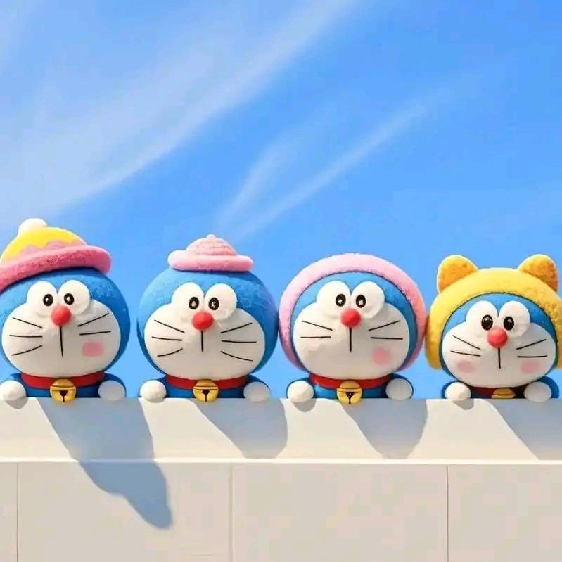 胡姐（四个娃）