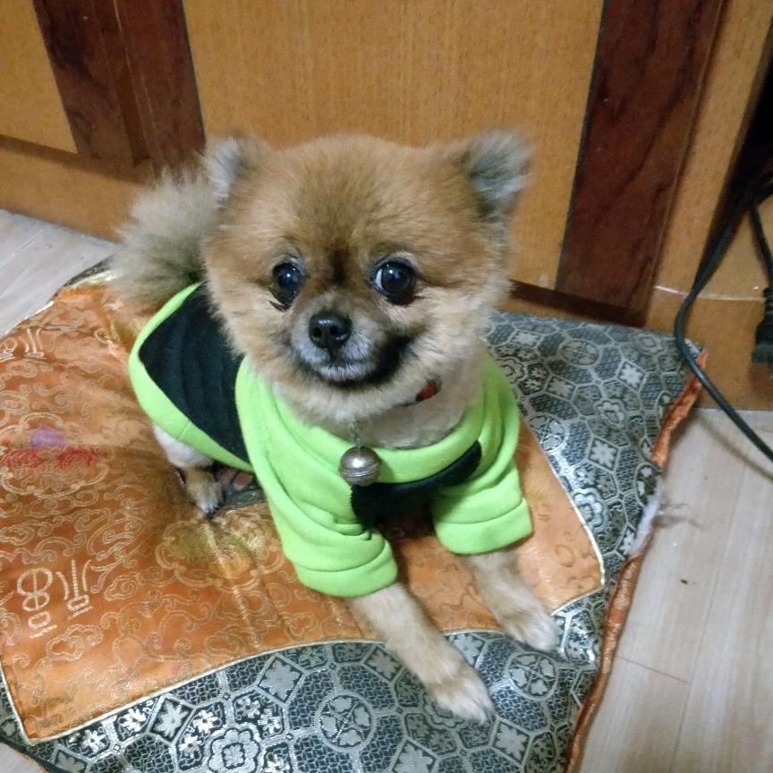 阿呀呀